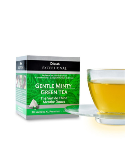 Thé vert de Chine Sencha à la menthe verte en sachet infusé