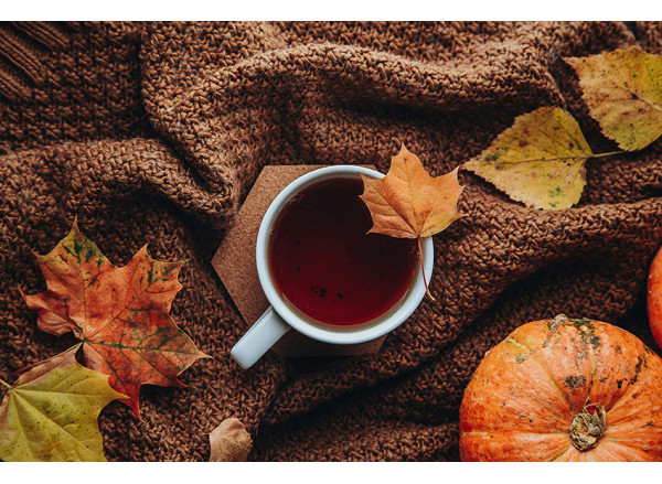 L'automne du thé. L'automne du thé.